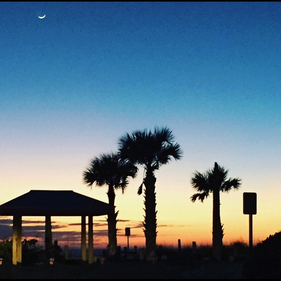 Meet your Posher, Blythe - Picture 1 of 1